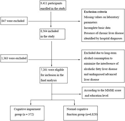 Association of lower liver function with cognitive impairment in the Shenzhen ageing-related disorder cohort in China